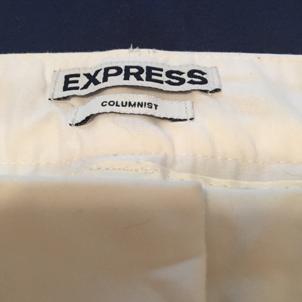 Express Columnist Pants Size 8l - image 6